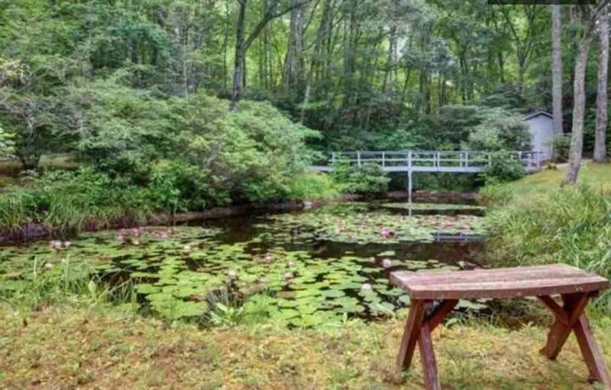 A serene outdoor scene featuring a lily pond, wooden bench, footbridge, and lush greenery. The setting invites guests to explore nature trails, relax by the water, or enjoy peaceful moments just steps from the property, symbolizing both tranquility and local discovery.